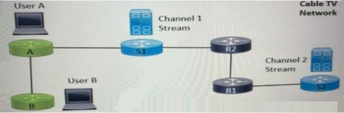 2025 Cisco 300-420 dumps questions 15