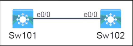 New CCNA 200-301 Practice Questions 13